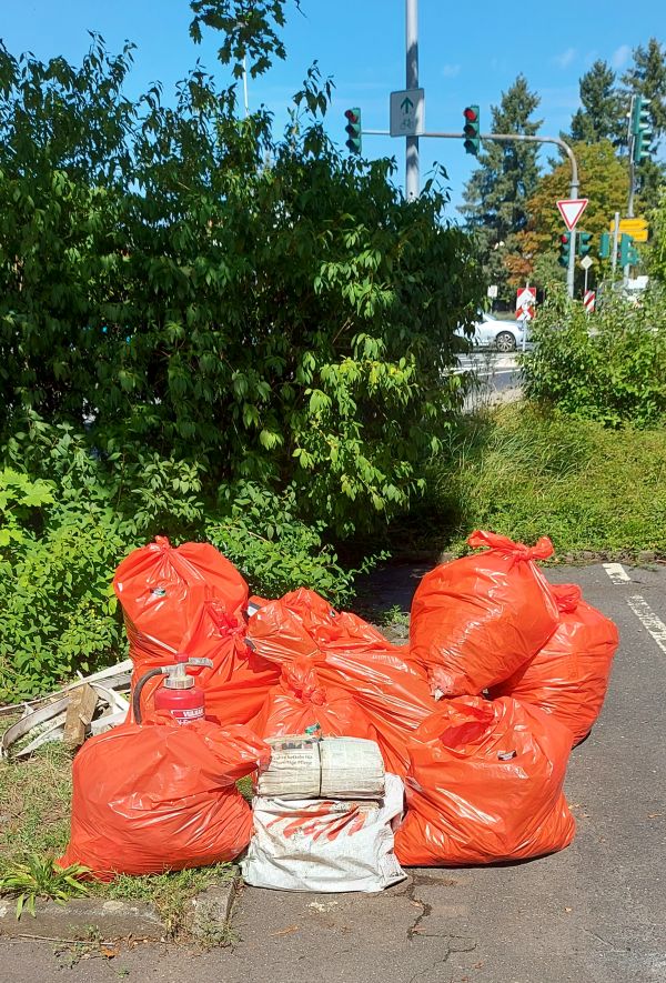 25 Sammelaktion der Umweltfreunde Rödermark (UFRM.de)