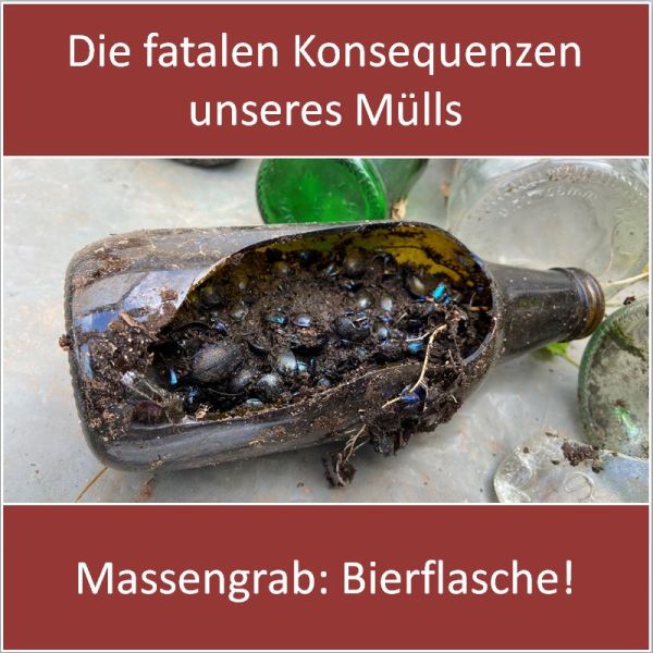 Massengrab Bierflasche