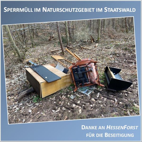 Sperrmüll im Wald